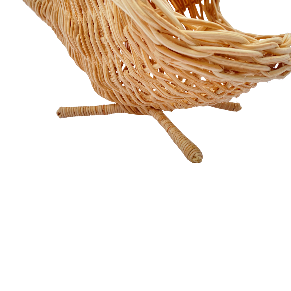 BALEIA DELICATA