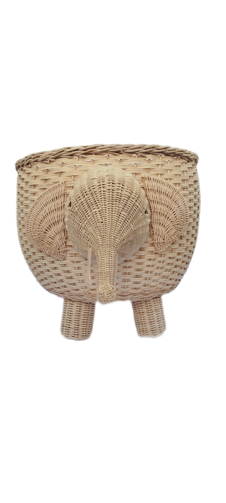 Elefante