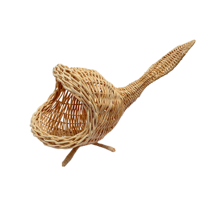 BALEIA DELICATA