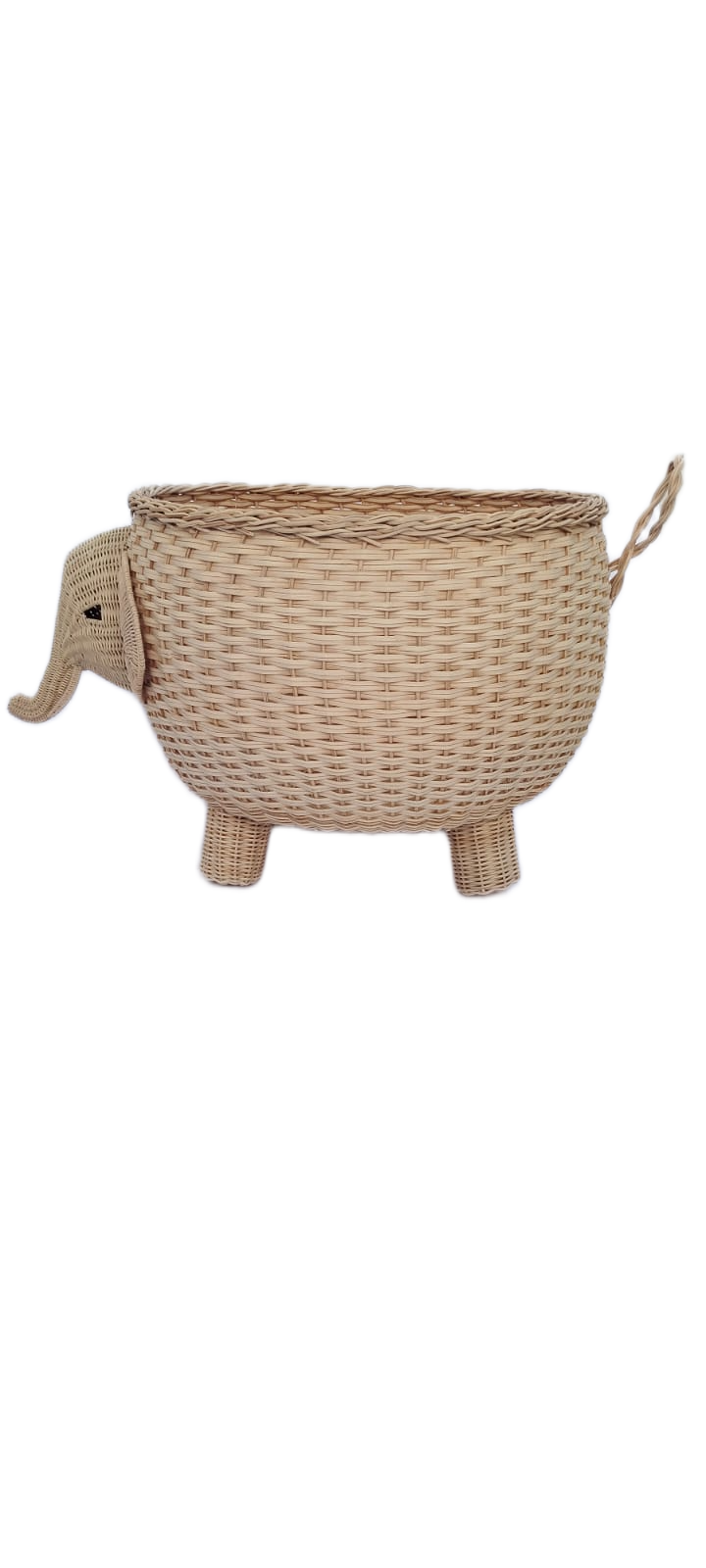 Elefante
